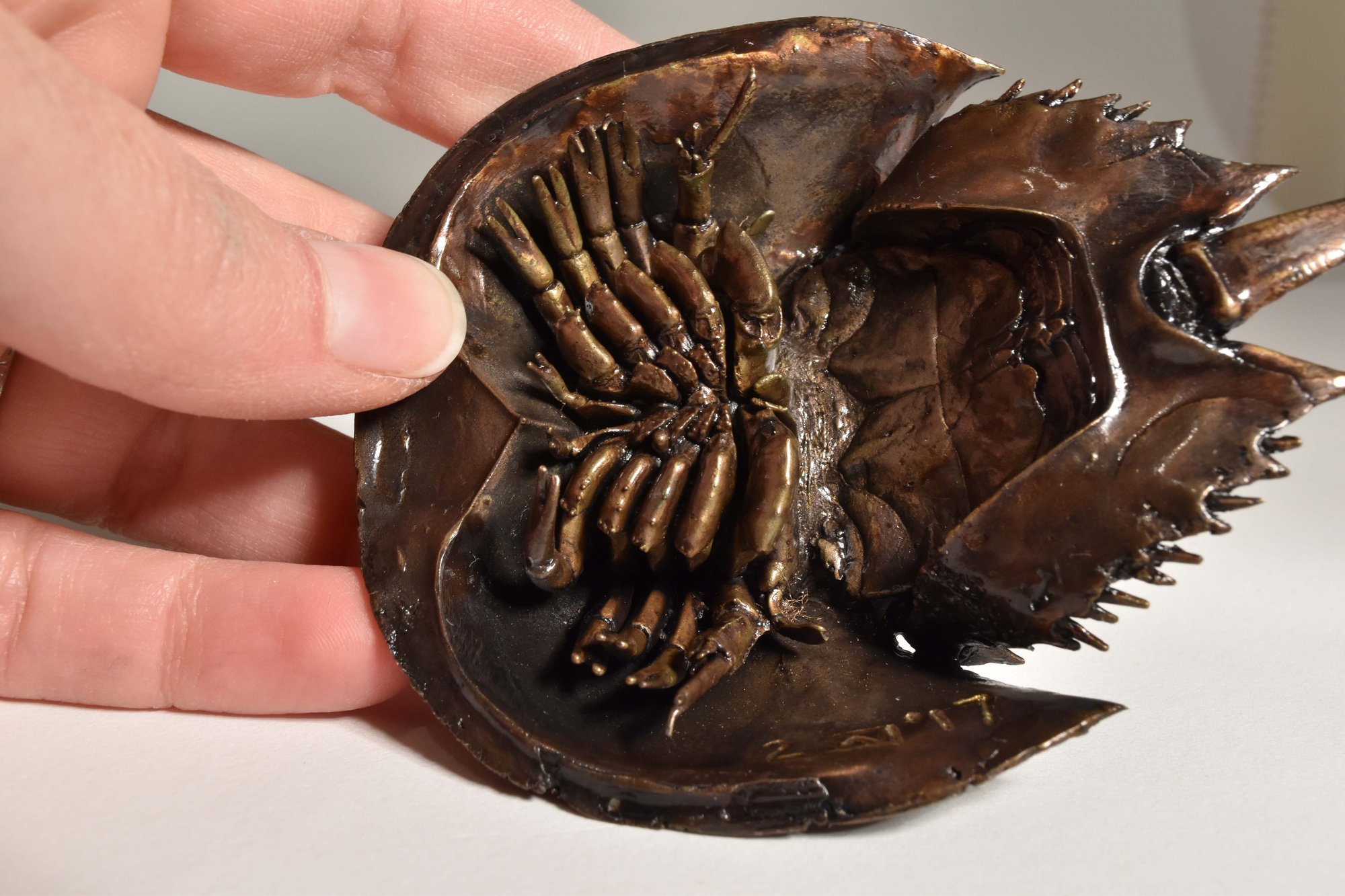 crab_under crab_under